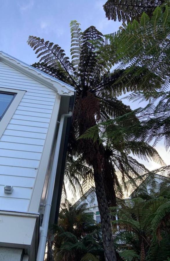 Tiny House In The Sky Hotel Dunedin Buitenkant foto